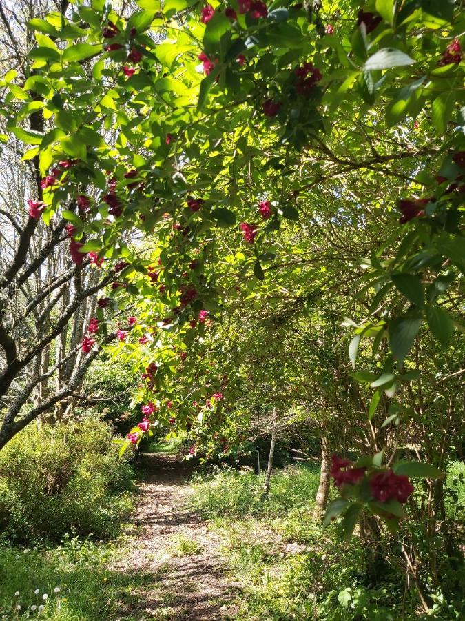 Domaine De Kerstrat Douarnenez